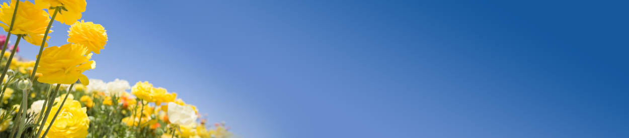 CHEF of Oklahoma New Member Virtual Orientation